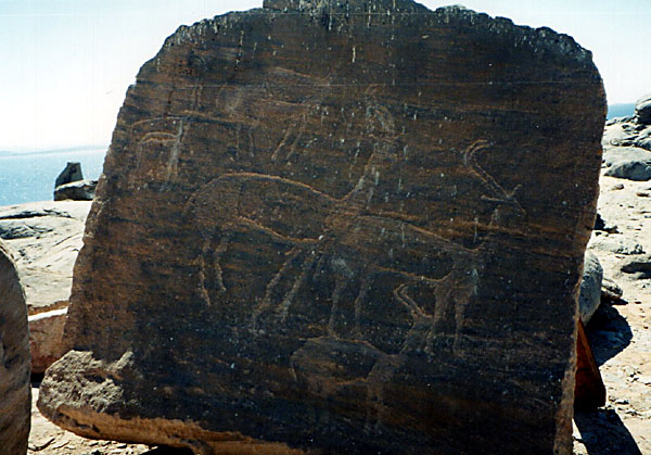 Kalabsha - prehistoric - rock art