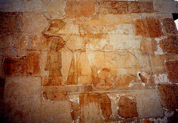 temple of Hatshepsut - Hathor suckling Hatshepsut