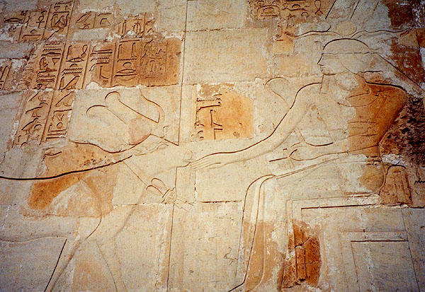 temple of Hatshepsut - Hathor relief