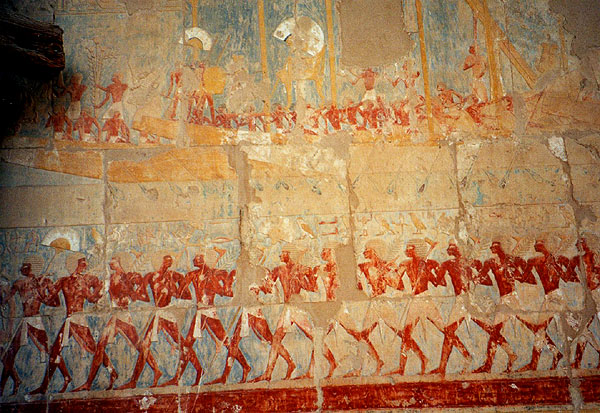 temple of Hatshepsut - expedition to Punt