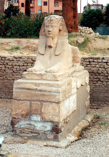 Luxor, sphinx of Nectanebo I